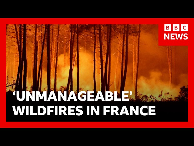 France battles fire 'whirlwinds' as another 55,000 evacuated | BBC News