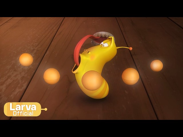 Ping pong | 탁구 | Animation Compilation | Larva Tuba | Official