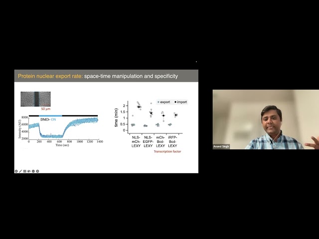 Anand Singh: Opto-imaging to dissect transcriptional dynamics and regulation in vivo