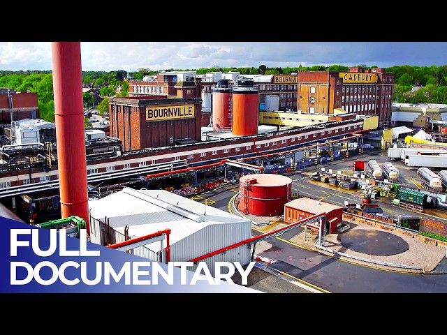 Cadbury Manufacturing: How Millions of Chocolates Are Mass-Produced | FD Engineering