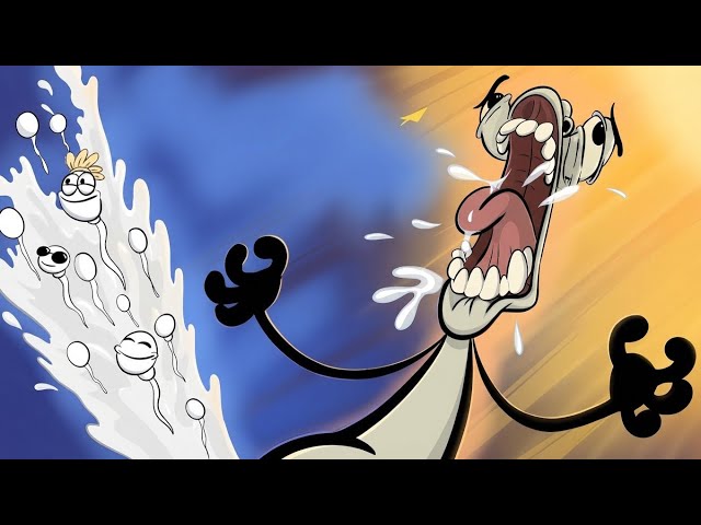 Rico Animations compilation! 