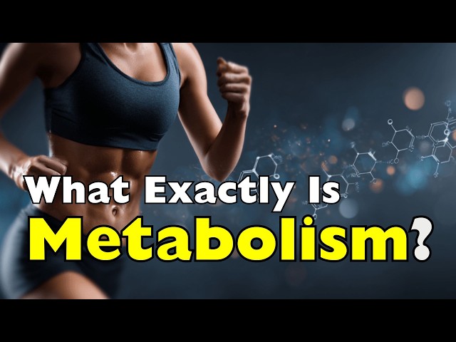 What Metabolism Does Inside Your Body