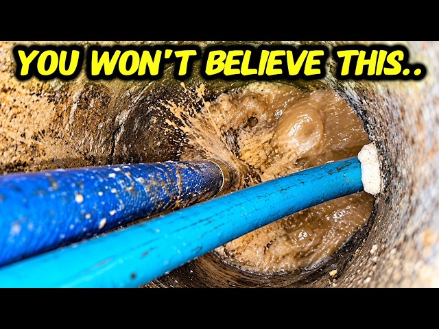 Her drain was blocked for years and this was why!