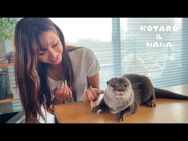 Boy Otter Falls Head Over Paws for a Cute Girl