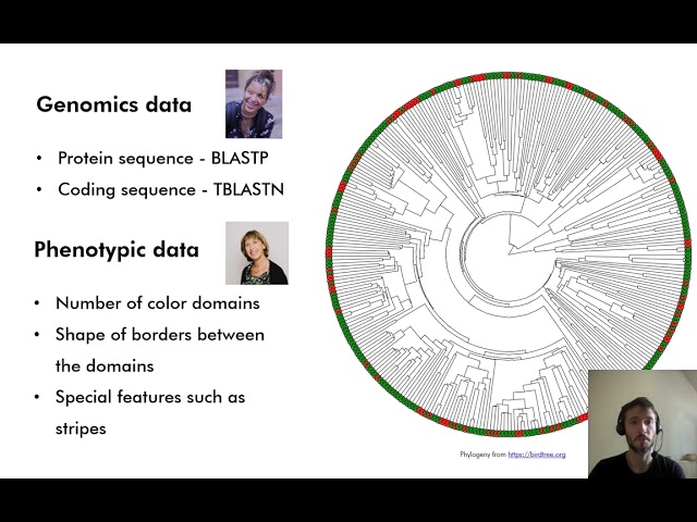 A Probabilistic Programming Approach to Investigate the Coevolution of Genes and Phenotypes in Birds