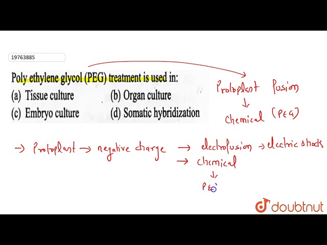 Poly ethylene glycol (PEG) treatment is used in: