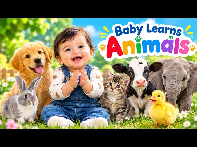 Baby Learns Animals | Learn Animal Names for Kids & Toddlers | Fun Educational Video