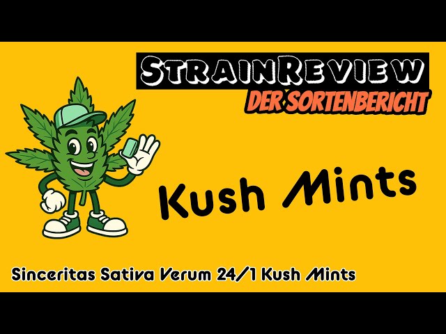 The Medical Strain Report - Sinceritas Sativa Verum 24/1 Kush Mints