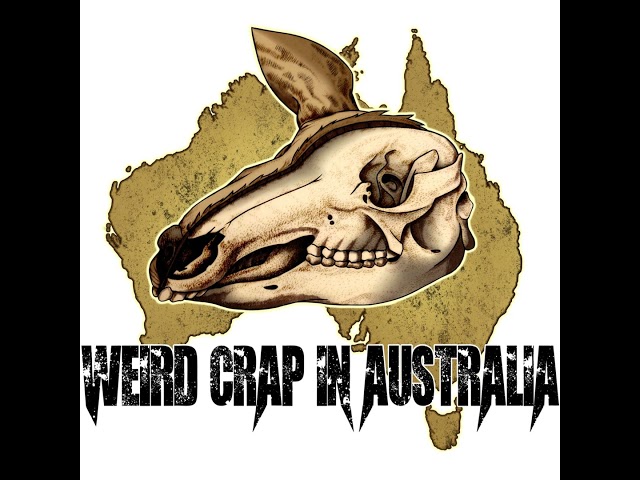 Episode 240 - Summer of Ozploitation Part 3: The Mad Max Effect Part 2