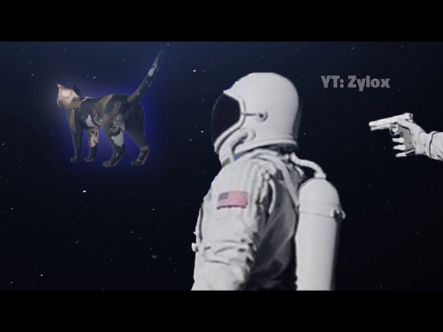 Wait It's all a Cat? (Astronaut Gun Meme)