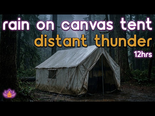 [Black Screen] Distant Storm Shelter | Rain on Canvas Tent + Distant Thunder | Sleep Rain Sounds