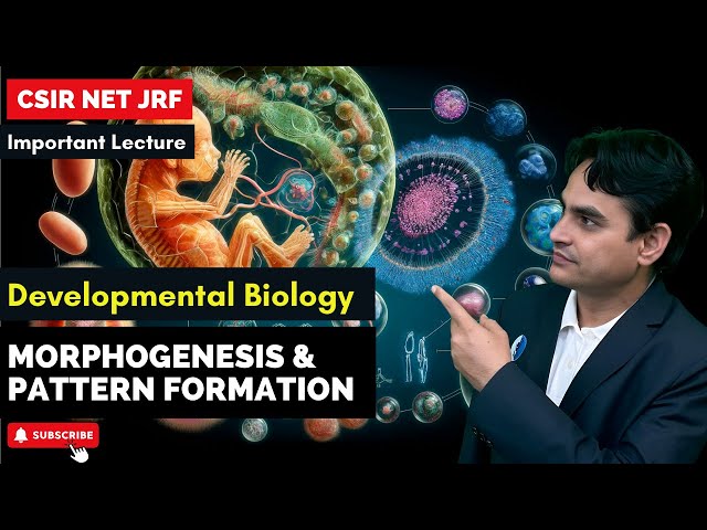 L-7 Morphogenesis and Pattern Formation I Developmental Biology I CSIR NET JUNE 2024 I IFAS