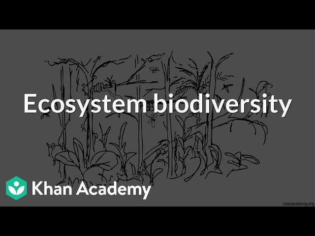 Ecosystem biodiversity | Grade 12 | Biology | NCERT | Khan Academy (IN accent)