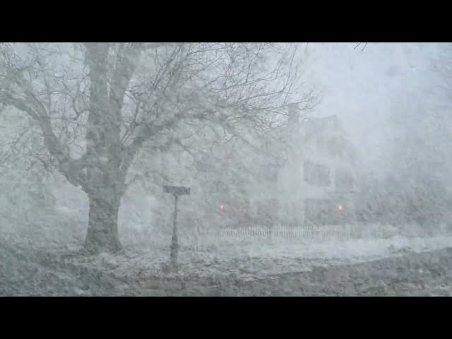 Suburban Blizzard Sounds ❄️ Heavy Snowstorm & Howling Wind for Deep Sleep