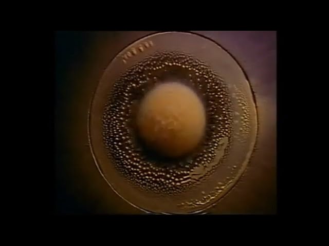 The Science of Wave Formation - Exploring Cymatics with Hans Jenny