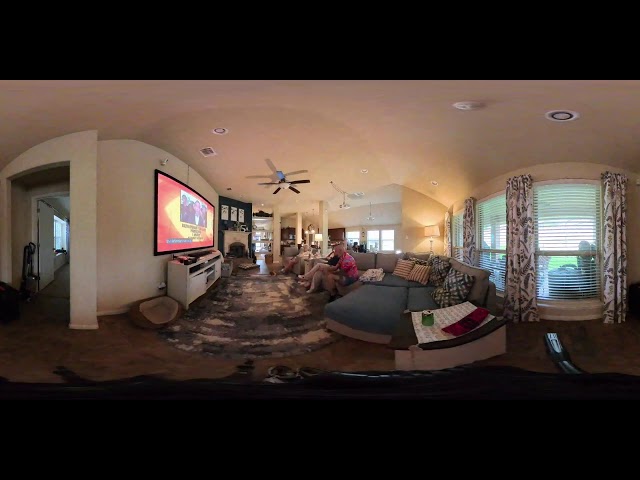 Test Live Stream