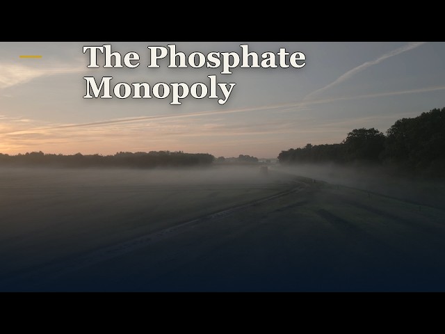 The Phosphate Monopoly: Why One Country's Rock Feeds the World