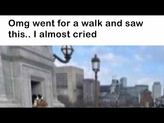 Wholesome Posts Filled With the Kind of Positivity We All Need