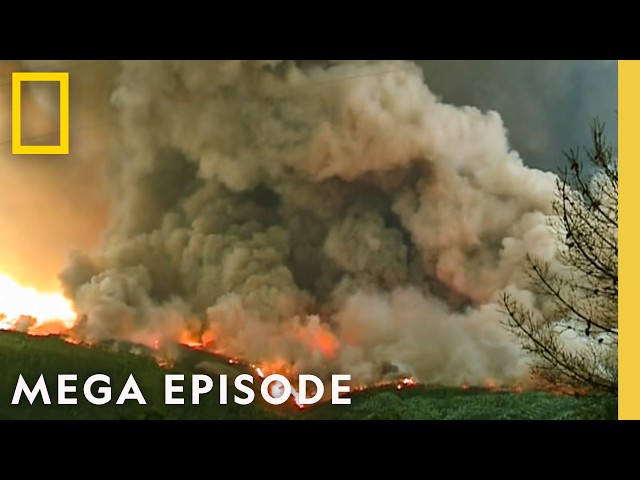 Global Disasters | Witness to Disaster MEGA Episode | National Geographic