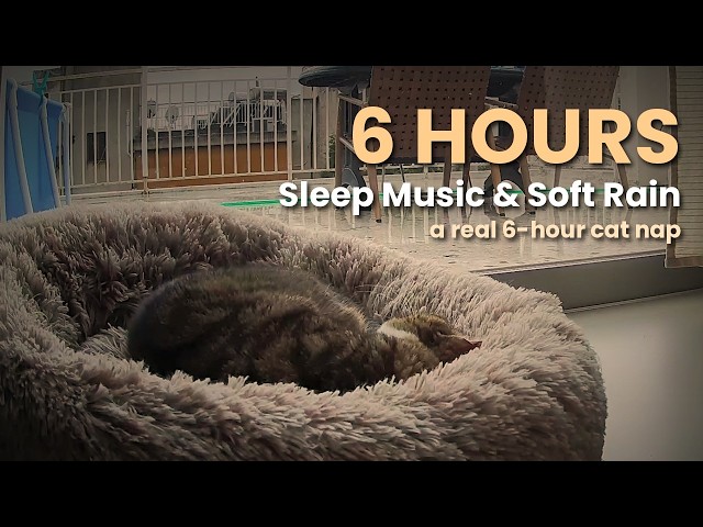 6 Hours Sleep Music & Soft Rain 🌧️ A Real Cat Nap | Deep Sleep, Relaxing Ambient Music