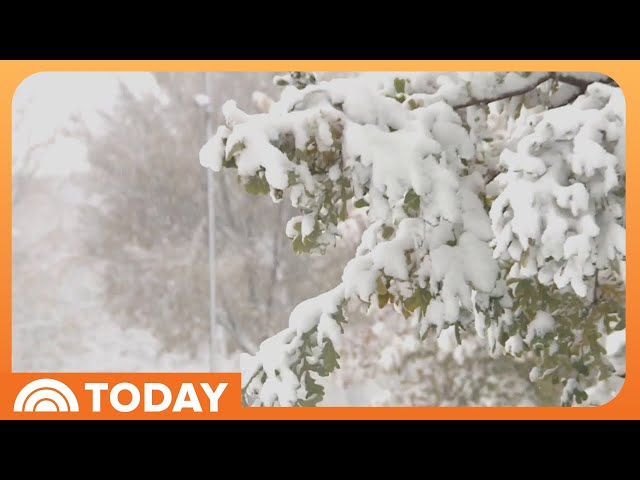 Brutal Cold Front Sweeps Across US With Early Winter Weather
