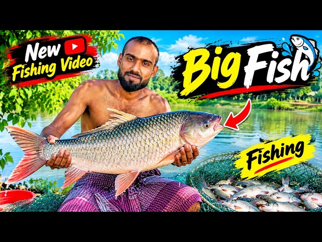 Amazing Big Fish Hunting |Real BigFishing |Best Polo Fishing. "Mk Fishing Video.fishing video.