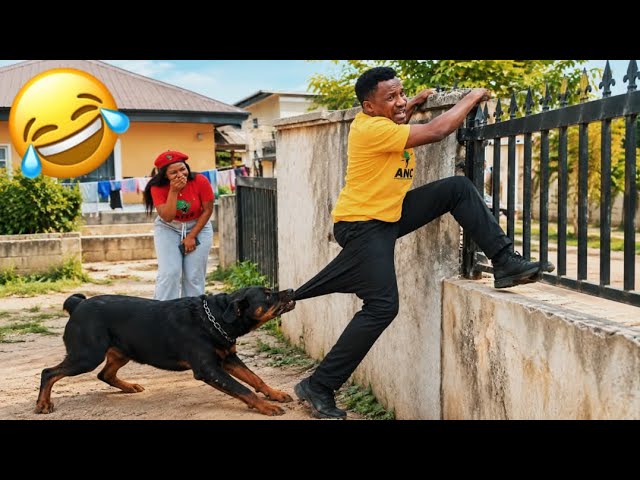 33 Minutes Nonstop Laughter||Try Not To Laugh Impossible