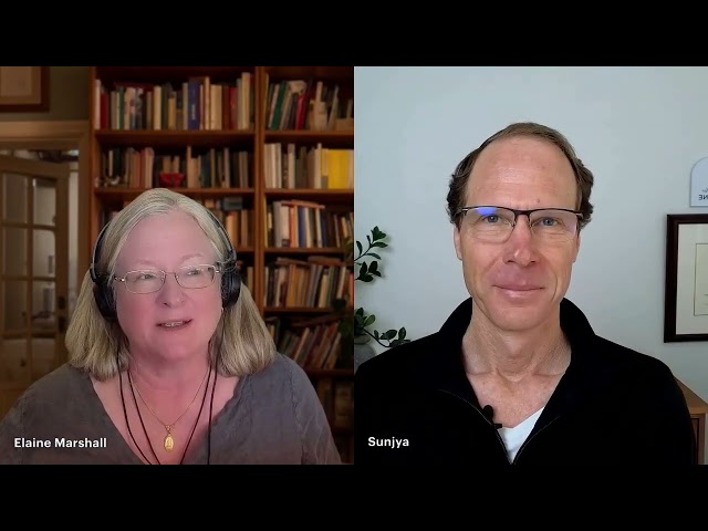 AI in functional medicine - with Dr. Sunjya Schweig