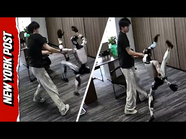 Chinese Robot Launches Flurry of Attacks Against It's Developer