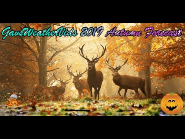 Autumn 2019 Forecast