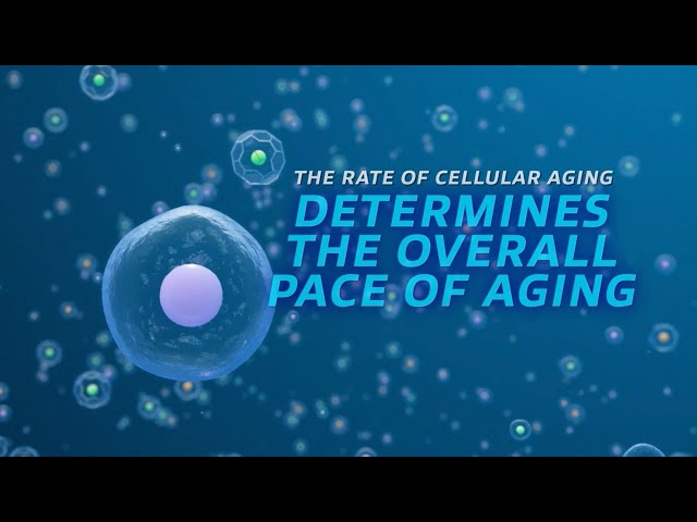 Everything You Need To Know About Cellular Health | Nutrilite AmCELL™
