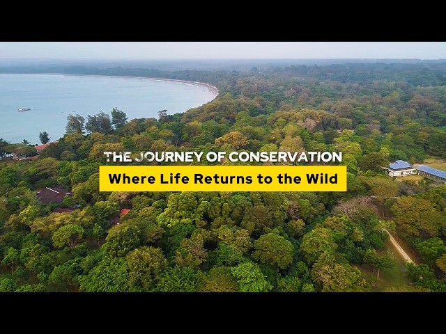 THE JOURNEY OF CONSERVATION