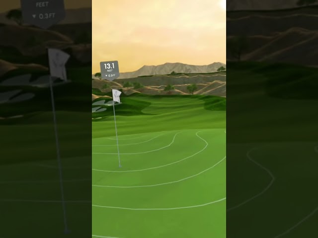 Amazing chip down the slope!