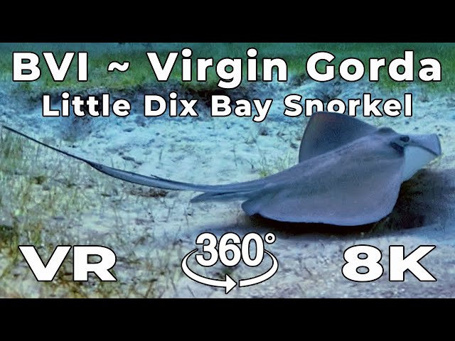 Little Dix Bay, in 360º VR! Snorkeling in Paradise: Dive Into the Waters of Rosewood Virgin Gorda