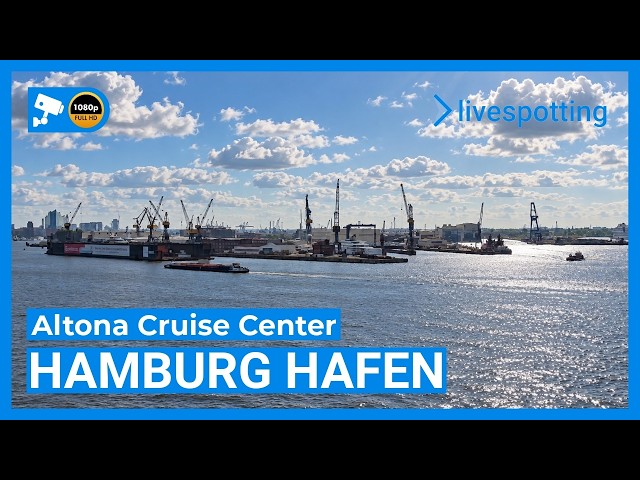 🔴 LIVE: Hamburger Hafen – HD Webcam am Cruise Center Altona
