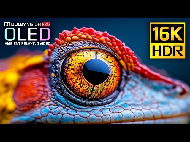 Epic 16K 120fps Video | BEST HDR Nature Dolby Vision | OLED Showcase | 4K Video • 8K Ultra HD TV