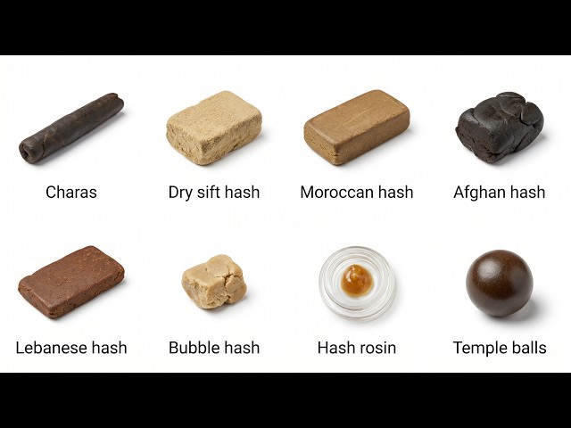 Every Concentrates Explained in 6 min
