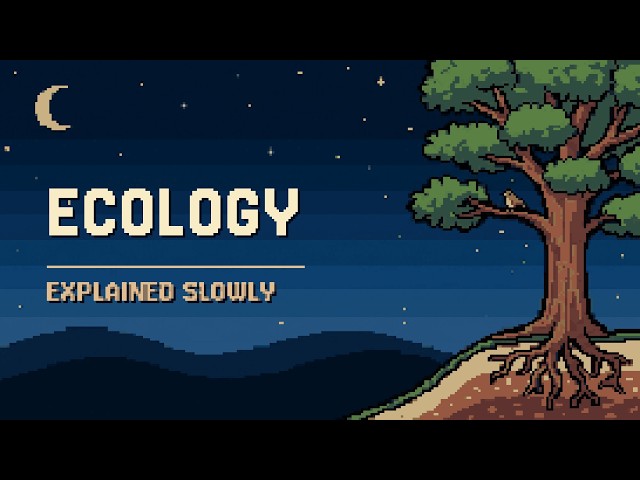 A Full Course in Ecology, to Fall Asleep To
