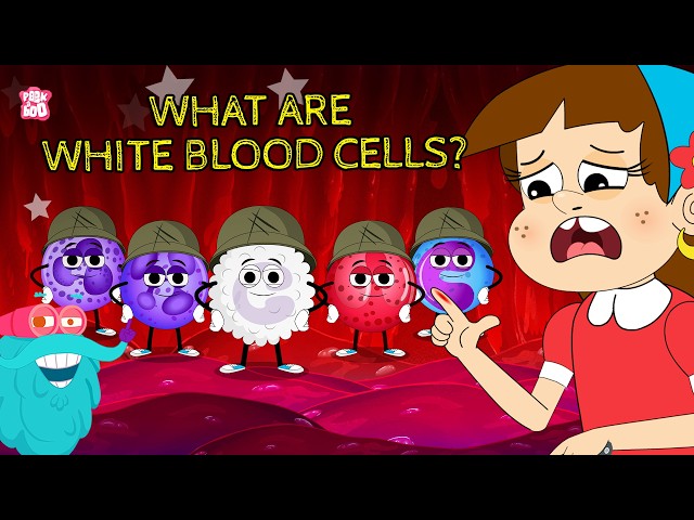 What Are White Blood Cells? 🩸 | The Body’s Tiny Defenders Explained | Learn with Dr. Binocs