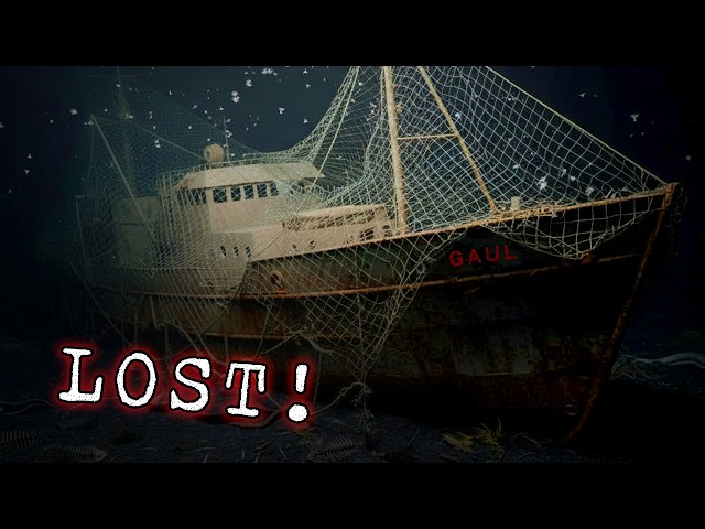 COVERED By Its Own NET! | FV Gaul