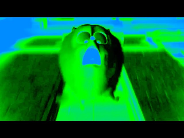 THE SECRET LIFE OF PETS | I'M COMING, MAX! | INSPIRED BY GAMMAVISION