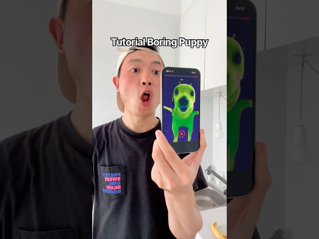 Tutorial Boring Puppy 🐶🙁👉 #viral #funny #shorts #fyp #trending