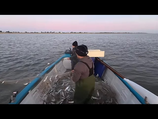 Filled the nets up and they started to sink! Nice boat full before dawn! Herring drift nets.