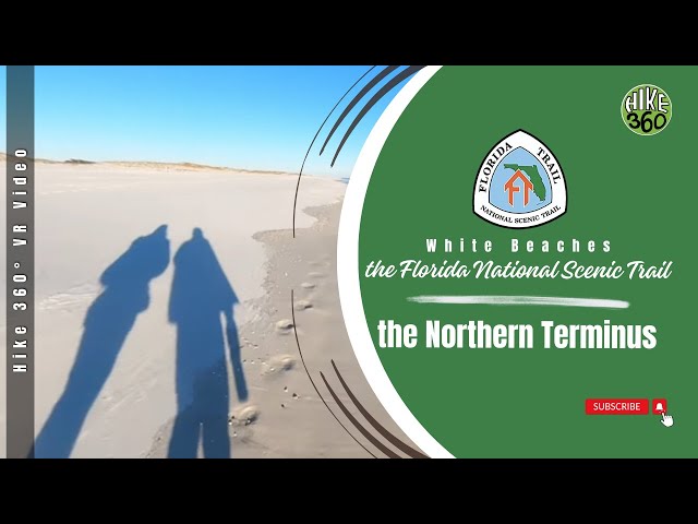 White Beaches of the Florida National Scenic Trail at the Northern Terminus (Hike 360° VR Video)
