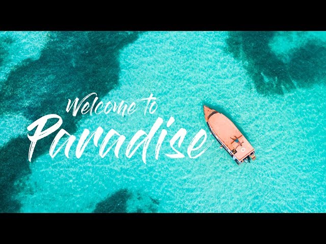 Discover Trinidad and Tobago In Two Minutes!