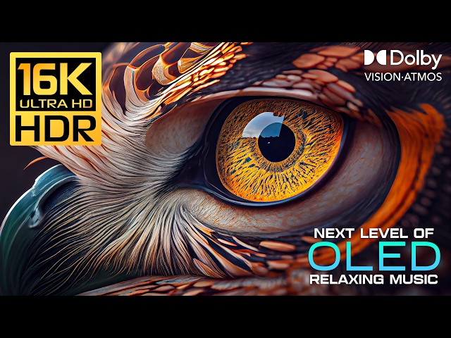 World's Most Insane 16K HDR 120FPS Dolby Vision | 4K Video/8K Ultra HD TV