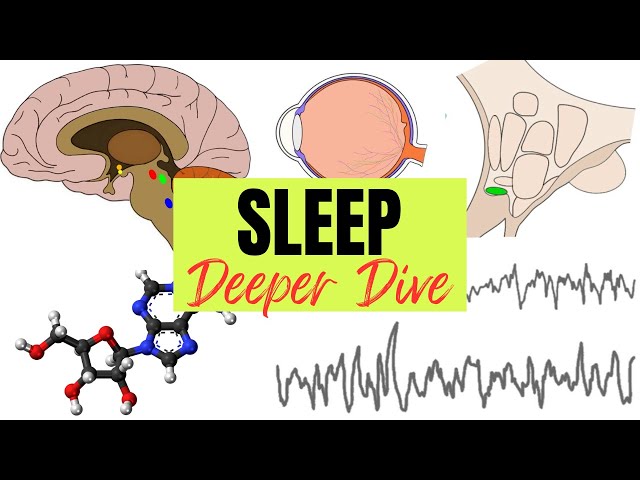 Sleep - Deeper Dive