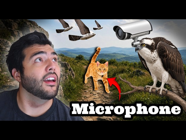 That Time the CIA Tried to Turn Animals Into Spies