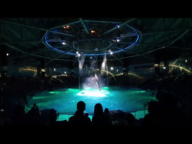 Maxell Aqua Park - 360 degree Projection mapping