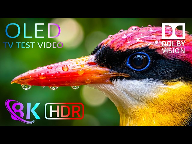 Nature Beyond Imagination in Stunning Detail | 8K HDR OLED Test • 4K HDR • Dolby Vision • 120FPS